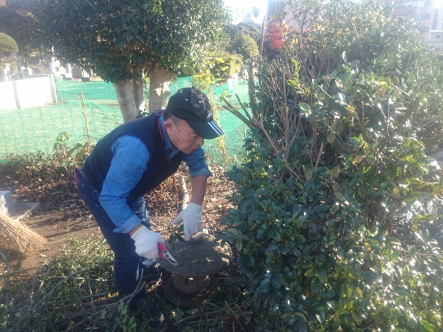 西郷隆盛青山霊園清掃